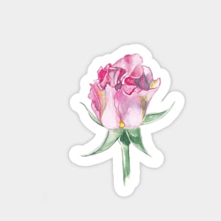 Pink rose Sticker